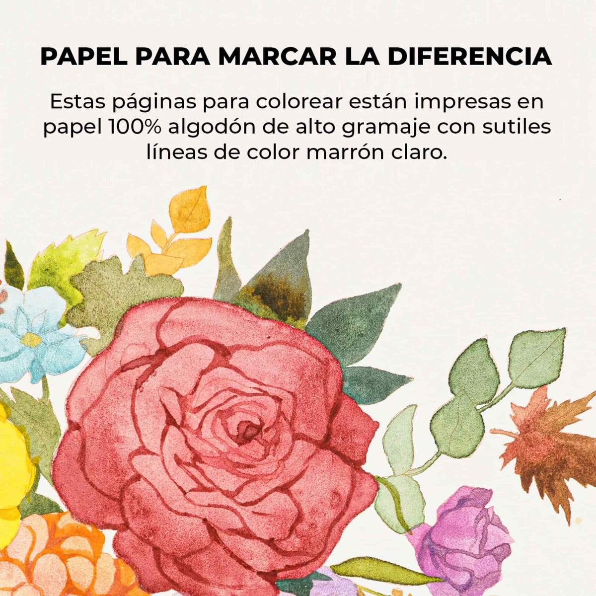 Grabie Coloring Club - Kit Acuarelas Autumn Libreta y Libro