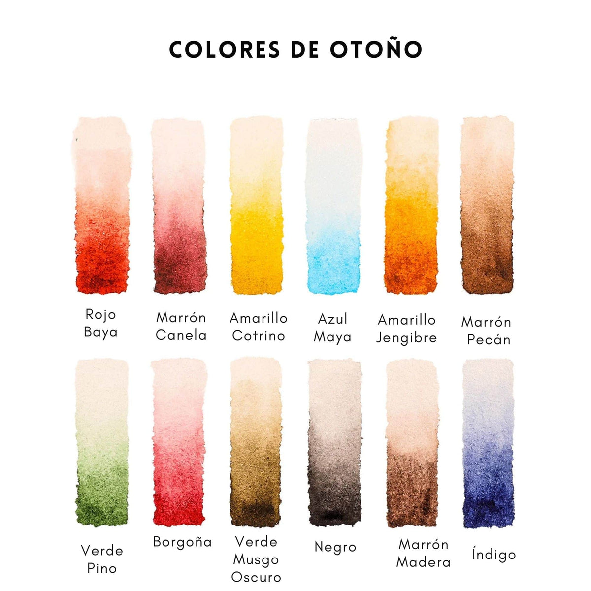 Grabie Coloring Club - Kit Acuarelas Autumn Libreta y Libro