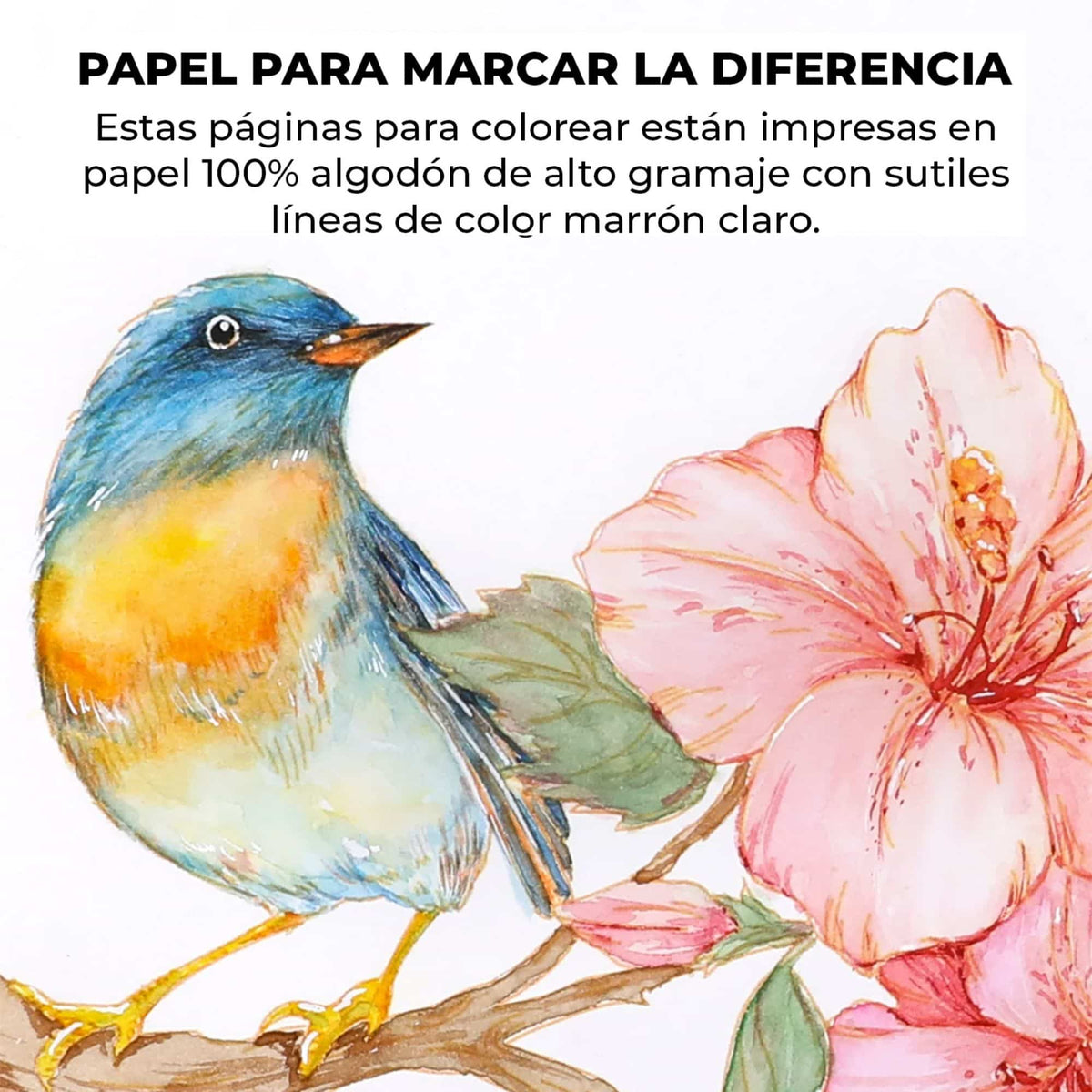Grabie Coloring Club - Kit Acuarelas Floral Libreta y Libro