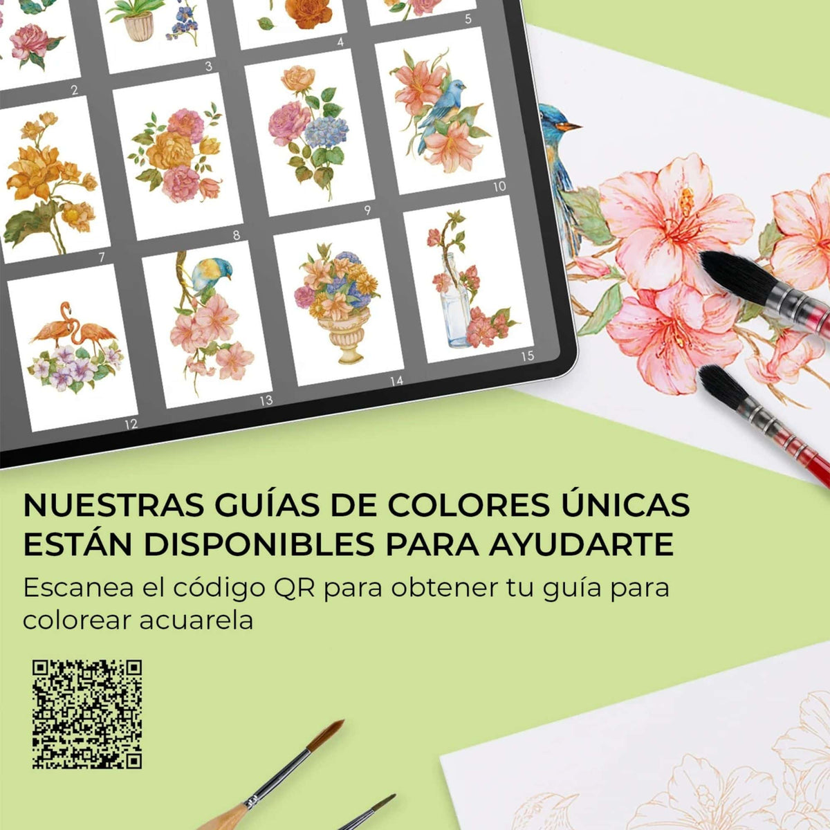 Grabie Coloring Club - Kit Acuarelas Floral Libreta y Libro