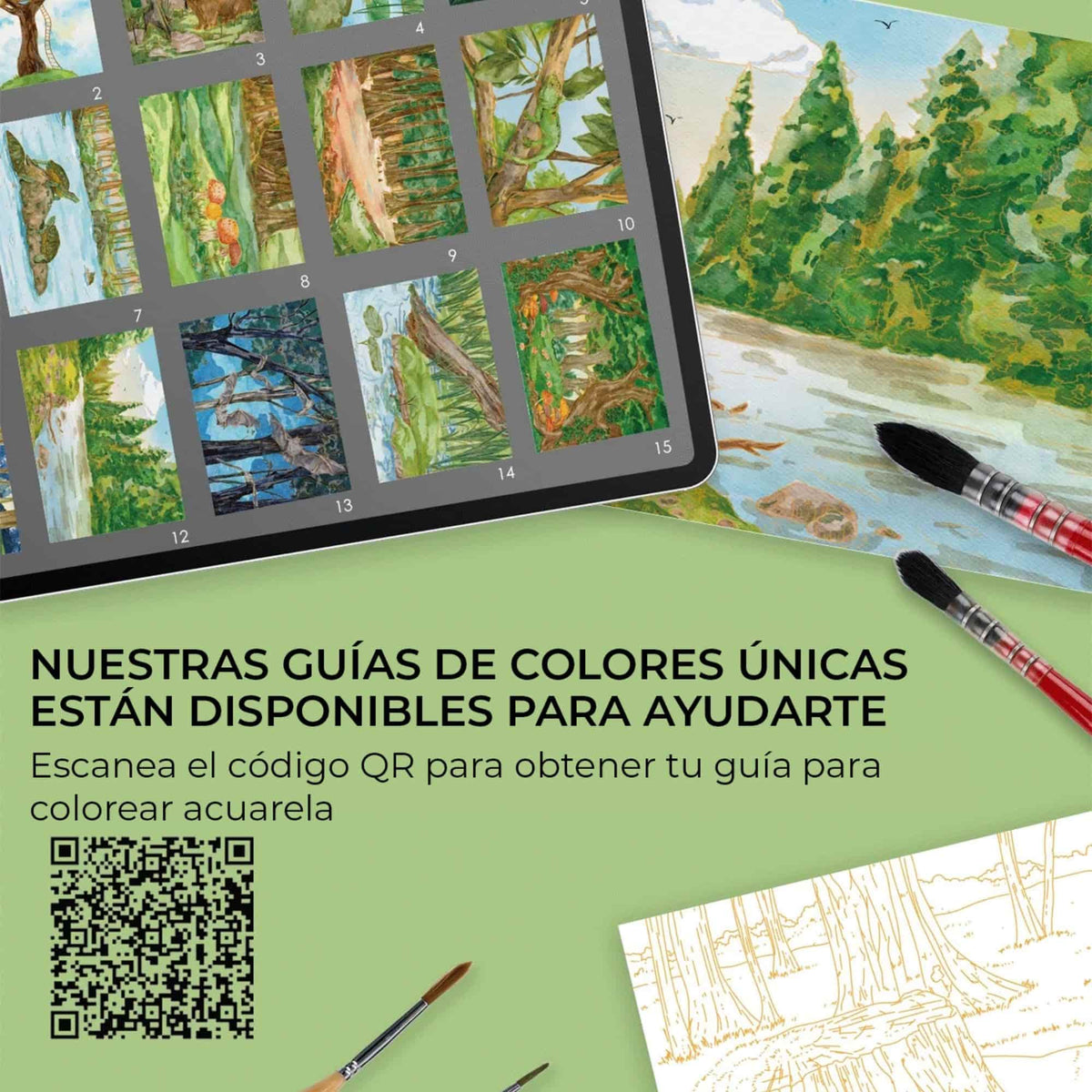 Grabie Coloring Club - Kit Acuarelas Forest Libreta y Libro