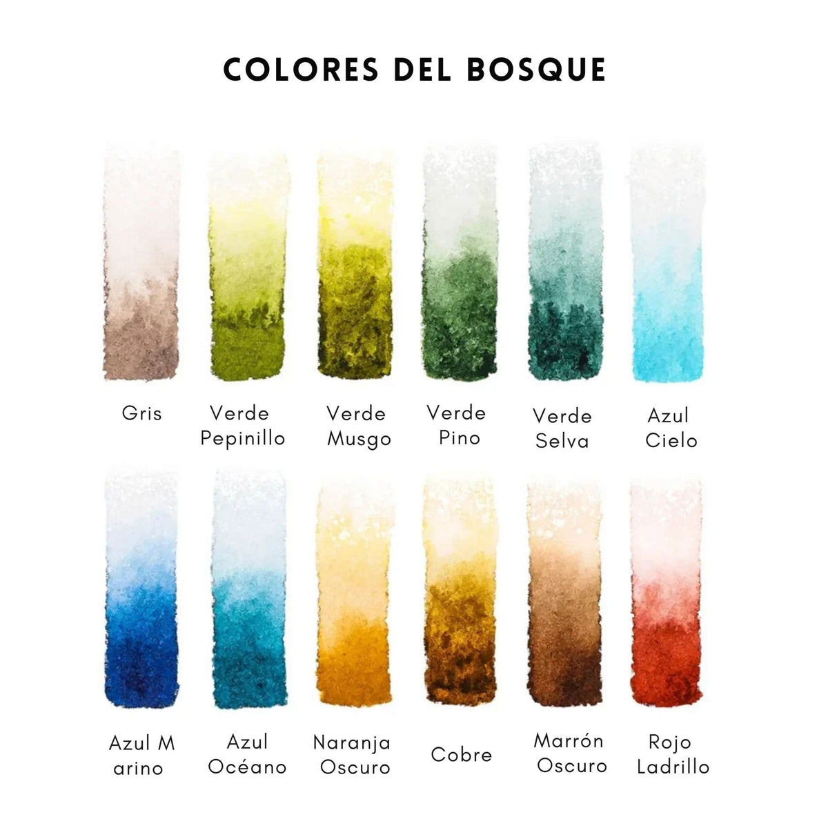 Grabie Coloring Club - Kit Acuarelas Forest Libreta y Libro