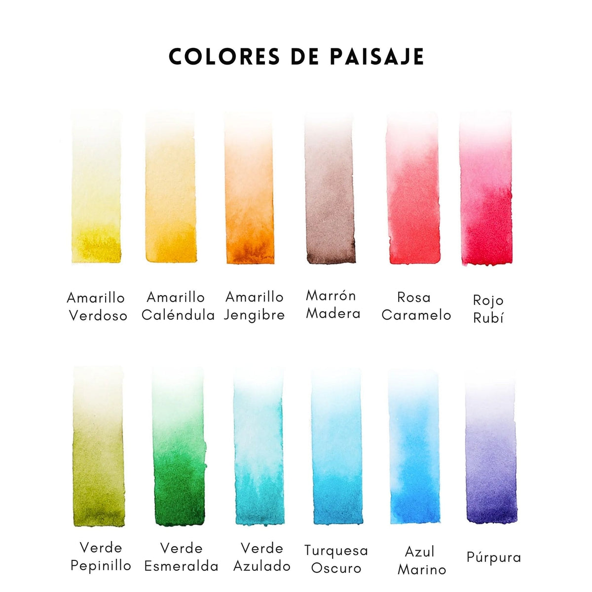 Grabie Coloring Club - Kit Acuarelas Landscape Libreta y Libro