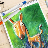 Himi - Set 24 Crayones Silky Crayon