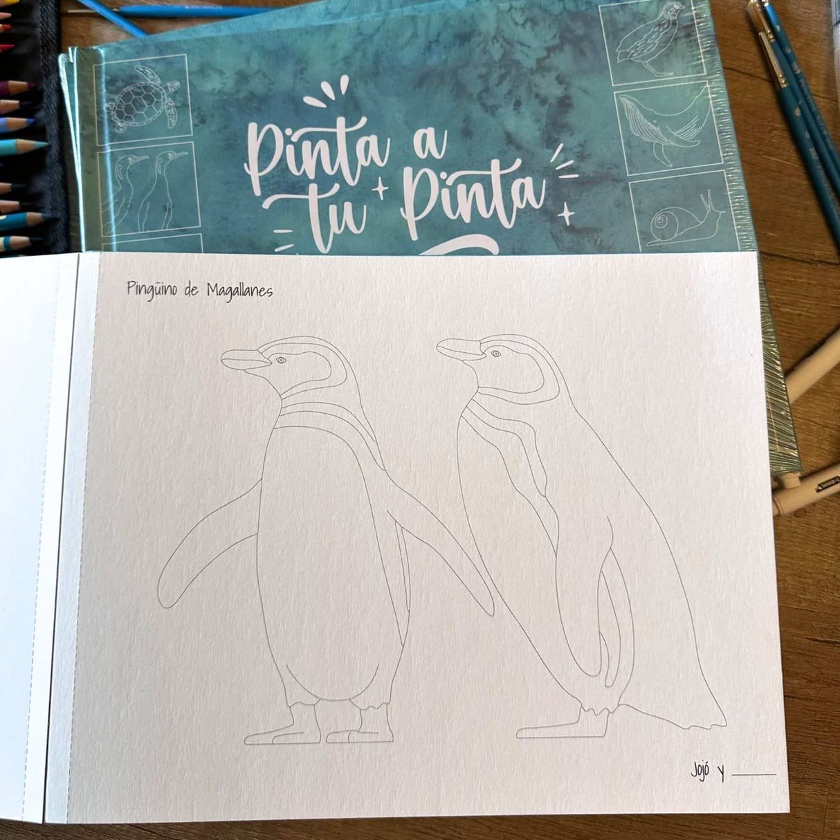 Pinta a tu Pinta - Jojó Rodríguez