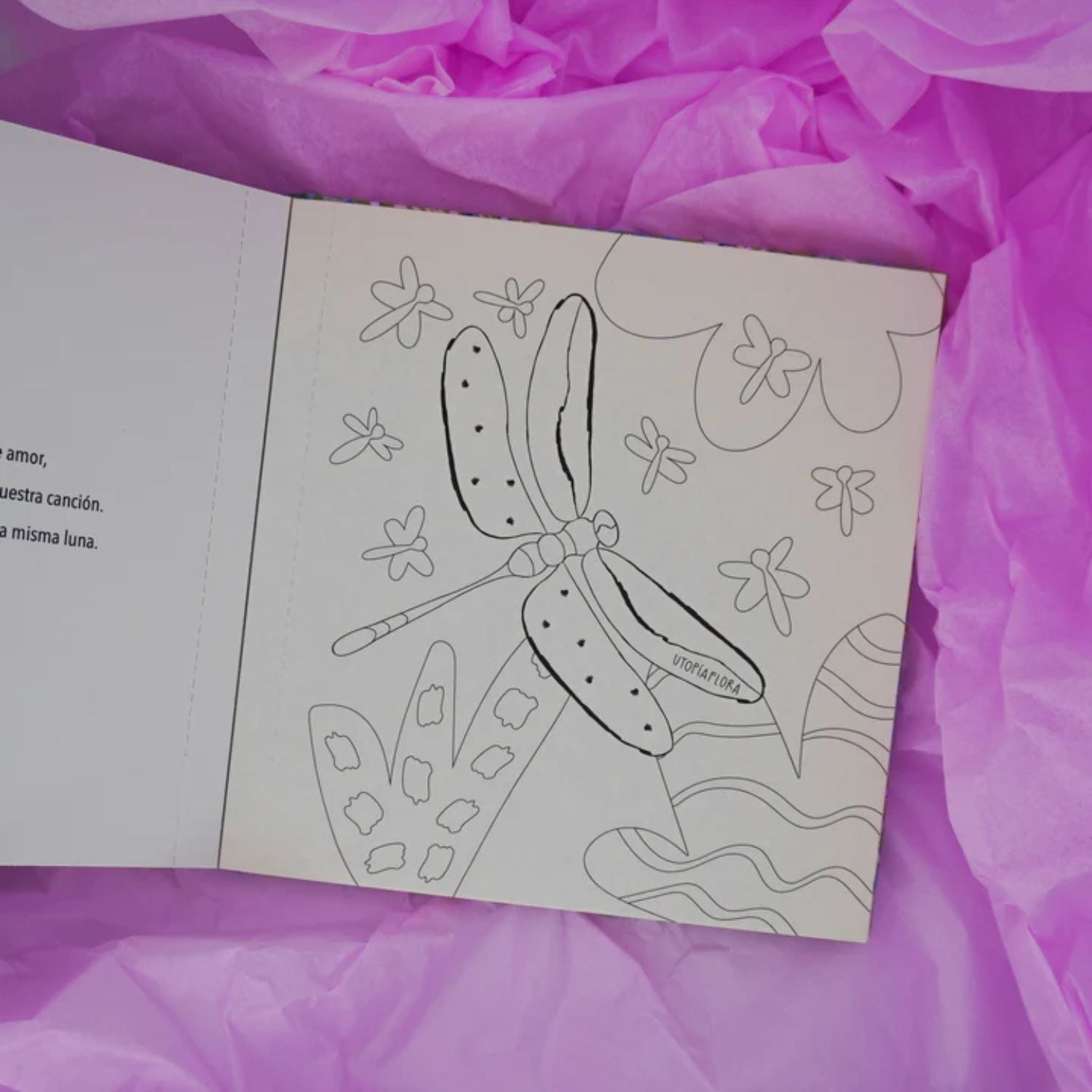 Libro para Colorear Kiwi de Flora Droppelmann – Dibu Chile