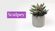 Sculpey Tools - Kit Herramientas Super Cortadores con Mangas para Arcilla 7 Piezas