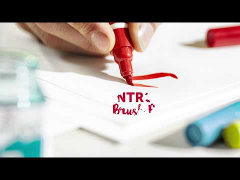 Royal Talens Ecoline - Set 5 Marcadores Brush Pen Amarillo