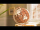 Rolife - Puzzle 3D Global Wonders Globo Terráqueo