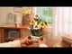 Rowood Wooden Bloom Craft - Miniatura Armable Flor Narcissus