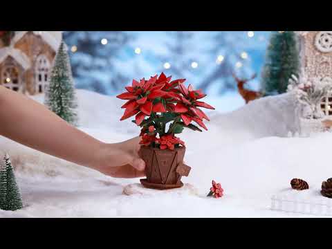 Rowood Wooden Bloom Craft - Miniatura Armable Flor Poinsettia