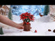 Rowood Wooden Bloom Craft - Miniatura Armable Flor Poinsettia