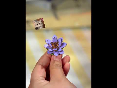 Rowood Artistic 3D Painting - Miniatura Armable Flor Glittering Water Lily