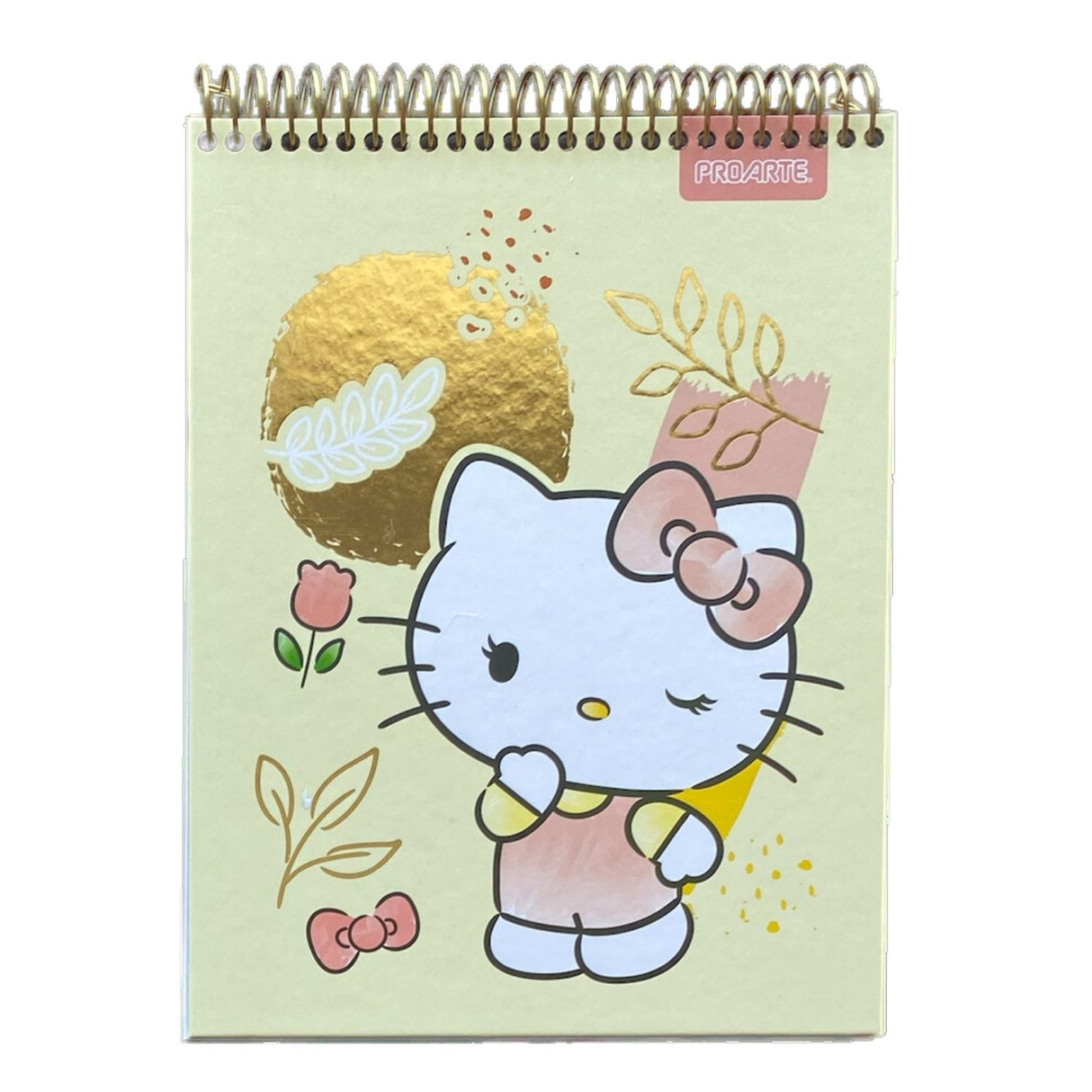 Proarte - Croquera Hello Kitty 80 h