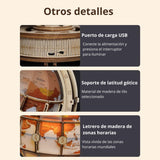 Rokr Universe Discovery - Puzzle 3D Luminous Globe