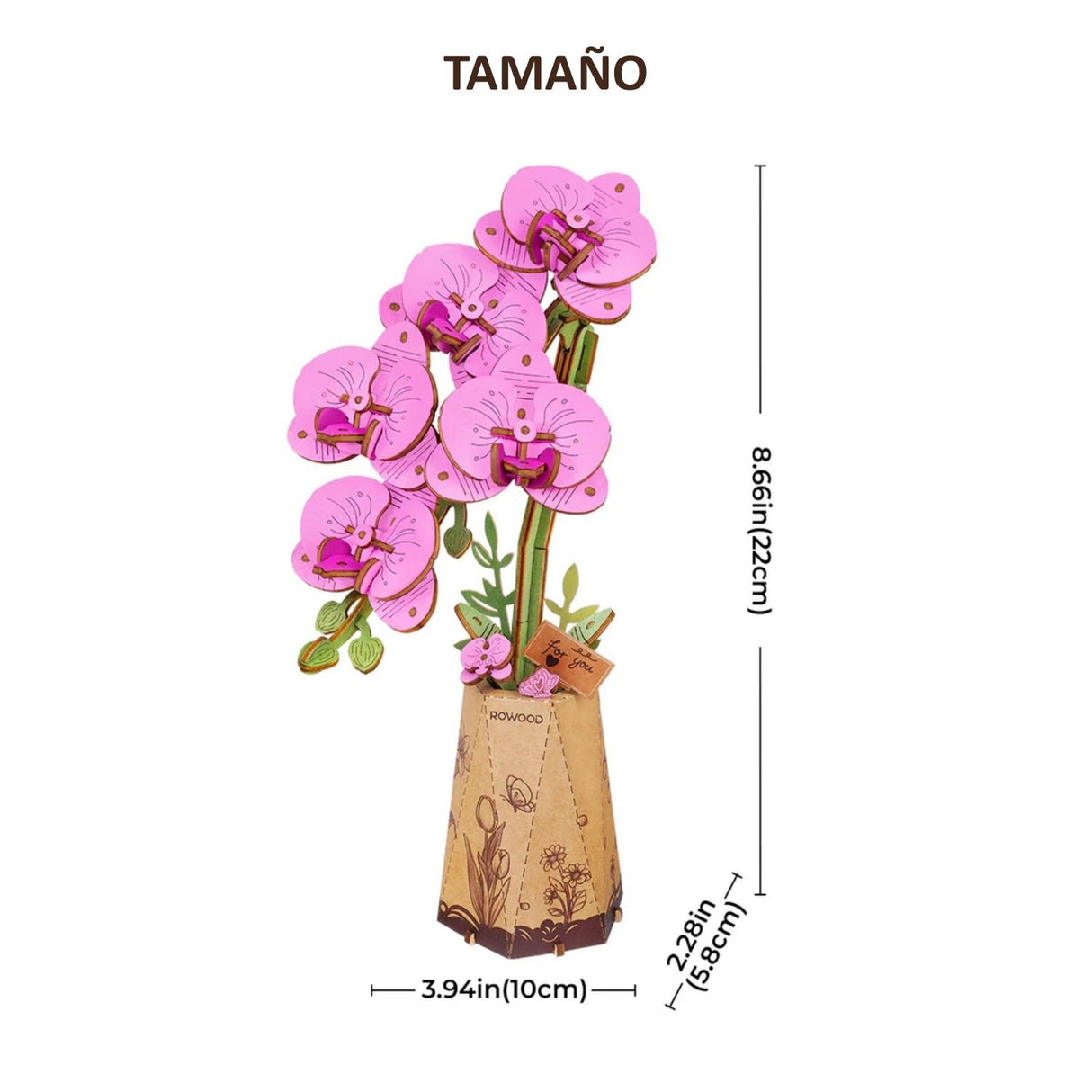 Rowood Wooden Bloom Craft - Miniatura Armable Flor Purple Moth Orchid