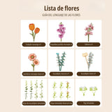 Rowood Wooden Bloom Craft - Miniatura Armable Flor Wooden Blooming Book