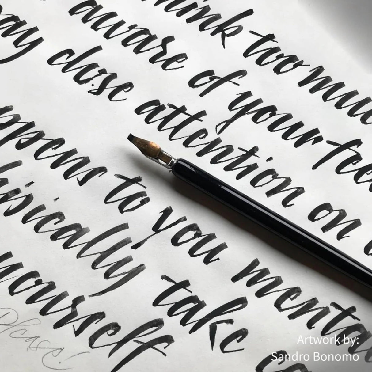 Speedball Super Black - Tinta China Botella 454 ml