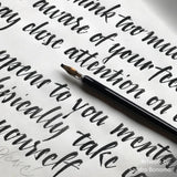 Speedball Super Black - Tinta China Botella 454 ml