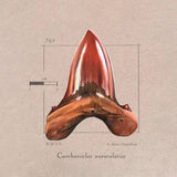 Strathmore Toned Tan - Croquera 118 g/m2