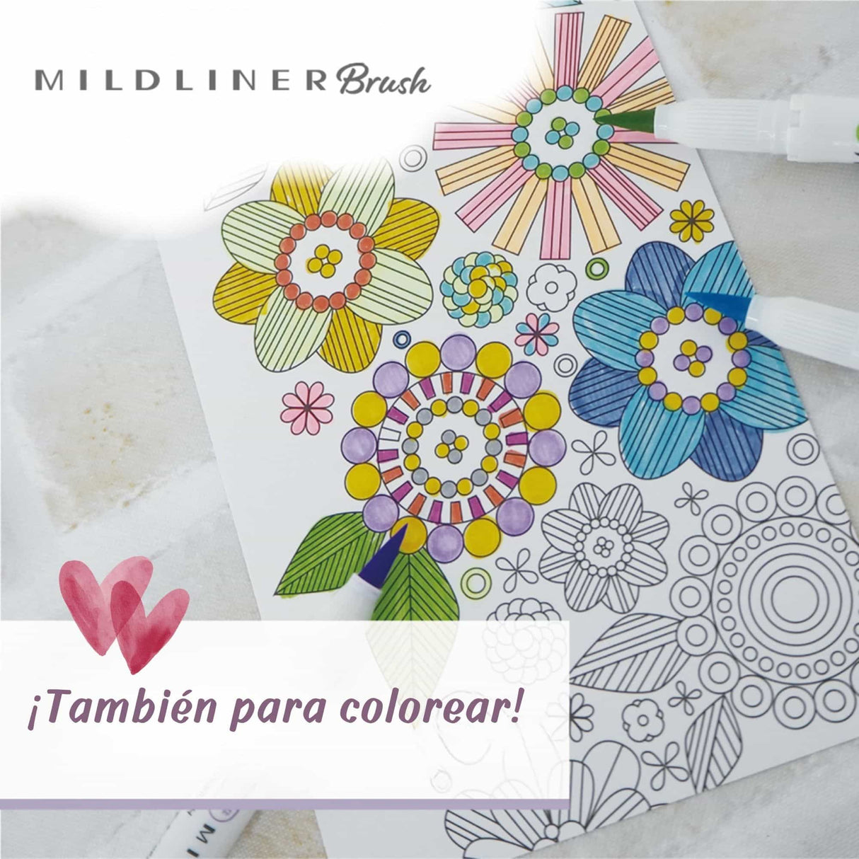 Zebra Mildliner Brush - Set 5 Destacadores Bright & Mild Colors