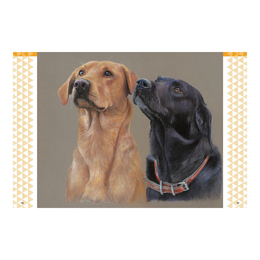 bonny-snowdon-libro-dibujar-animales-realistas-con-lapices-de-colores-2