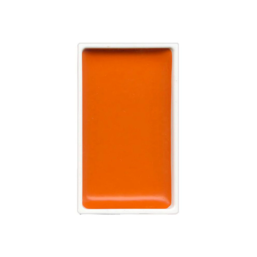 Cornice per ptura ad acquerello con rose morbide su sfondo di invo