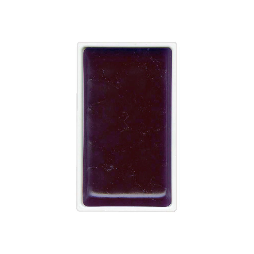 Cornice per ptura ad acquerello con rose morbide su sfondo di invo
