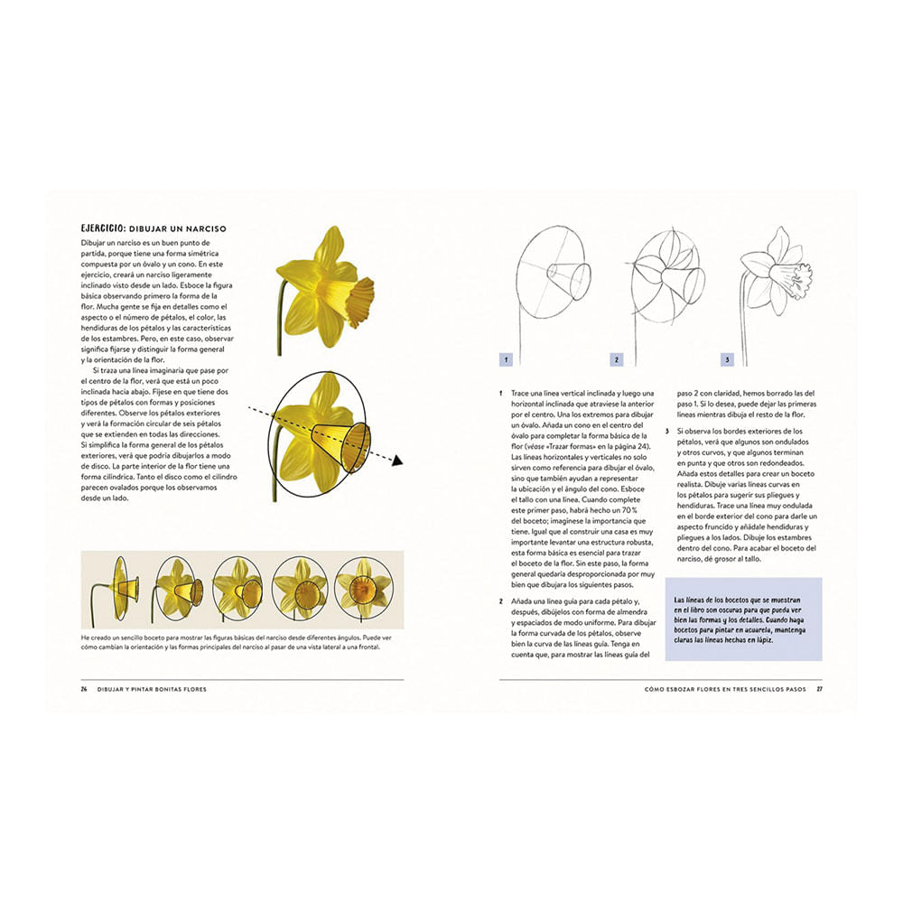 kyehyun-park-libro-dibujar-y-pintar-bonitas-flores-3