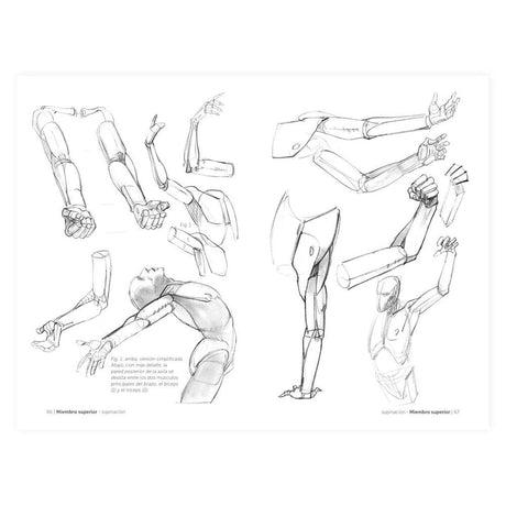 libro-anatomia-artistica-2-dibujar-de-forma-esquematica-michel-lauricella-2