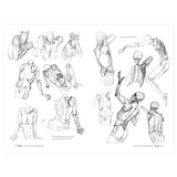 libro-anatomia-artistica-3-el-esqueleto-michel-lauricella-3
