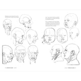 libro-anatomia-artistica-4-grasas-y-pliegues-de-la-piel-michel-lauricella-3