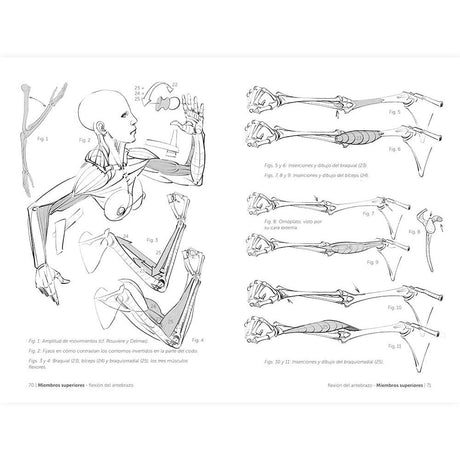 libro-anatomia-artistica-5-articulaciones-y-funciones-musculares-michel-lauricella-2