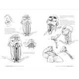 libro-anatomia-artistica-5-articulaciones-y-funciones-musculares-michel-lauricella-3