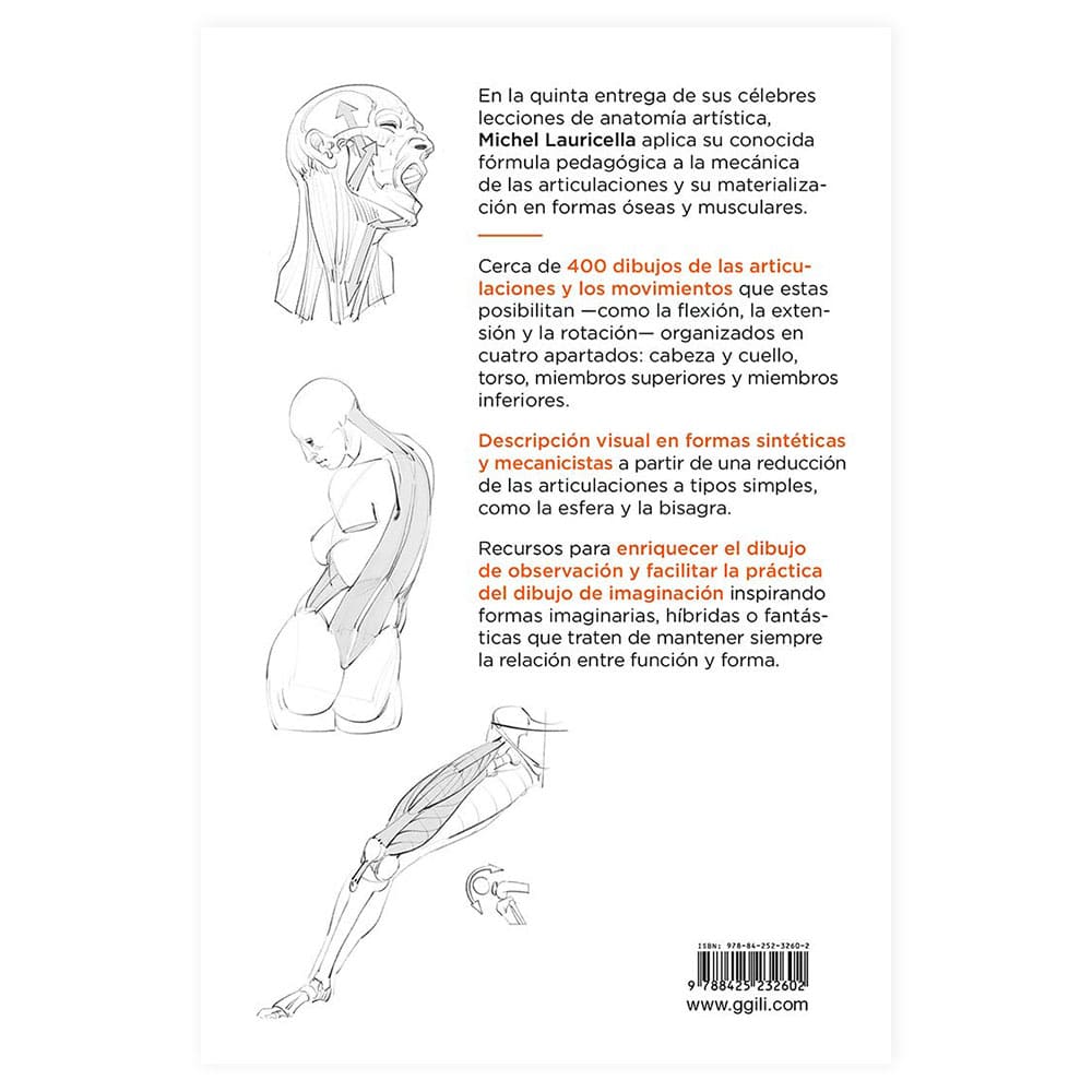 libro-anatomia-artistica-5-articulaciones-y-funciones-musculares-michel-lauricella-4
