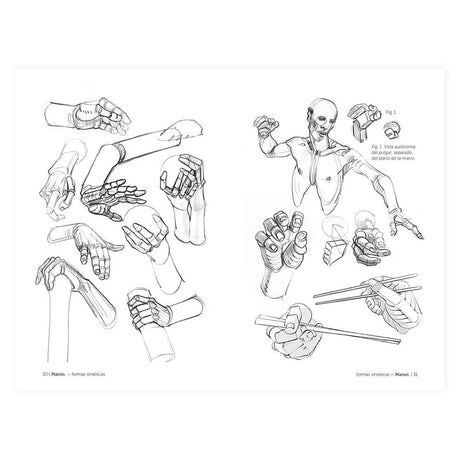 libro-anatomia-artistica-6-manos-y-pies-michel-lauricella-2