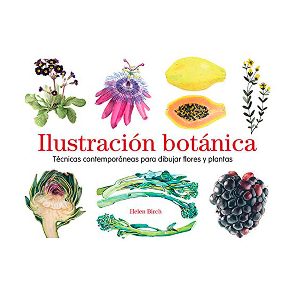 libro-para-colorear-tecnicas-graficas-ilustracion-botanica-birch-helen
