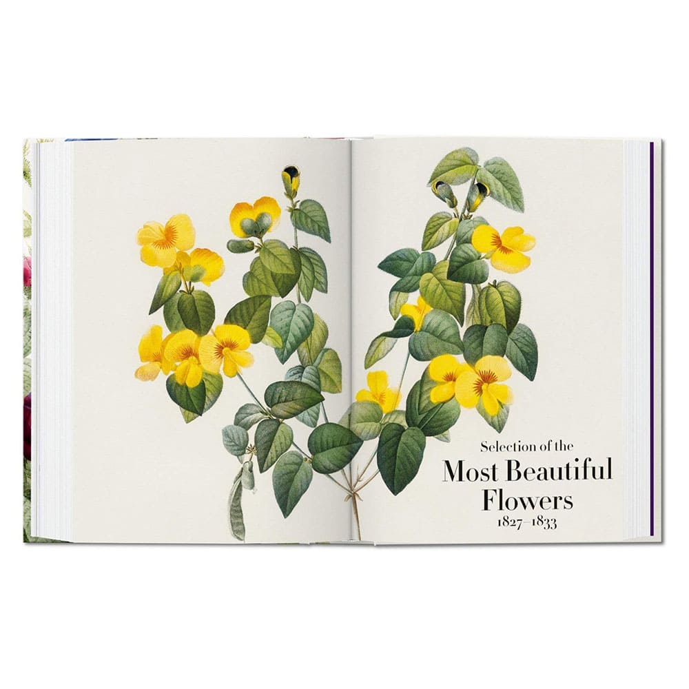 libro-the-book-of-flowers-pierre-joseph-redoute-3