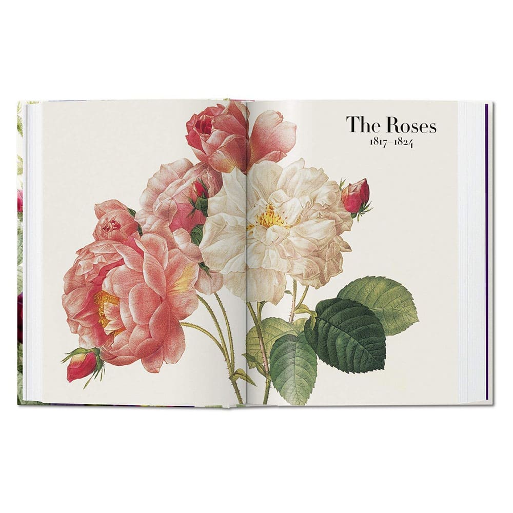 libro-the-book-of-flowers-pierre-joseph-redoute-4
