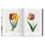 libro-the-book-of-flowers-pierre-joseph-redoute-5