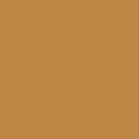 lyra-aqua-brush-duo-marcador-doble-punta-individual-Brown-Ochre