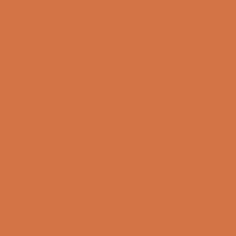 lyra-aqua-brush-duo-marcador-doble-punta-individual-Burnt-Ochre