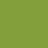 lyra-aqua-brush-duo-marcador-doble-punta-individual-Chrome-Green