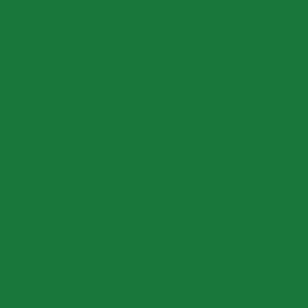 lyra-aqua-brush-duo-marcador-doble-punta-individual-Emeral-Green