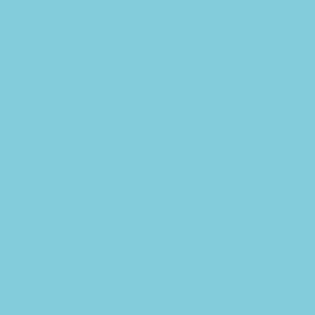 lyra-aqua-brush-duo-marcador-doble-punta-individual-Light-Turquoise