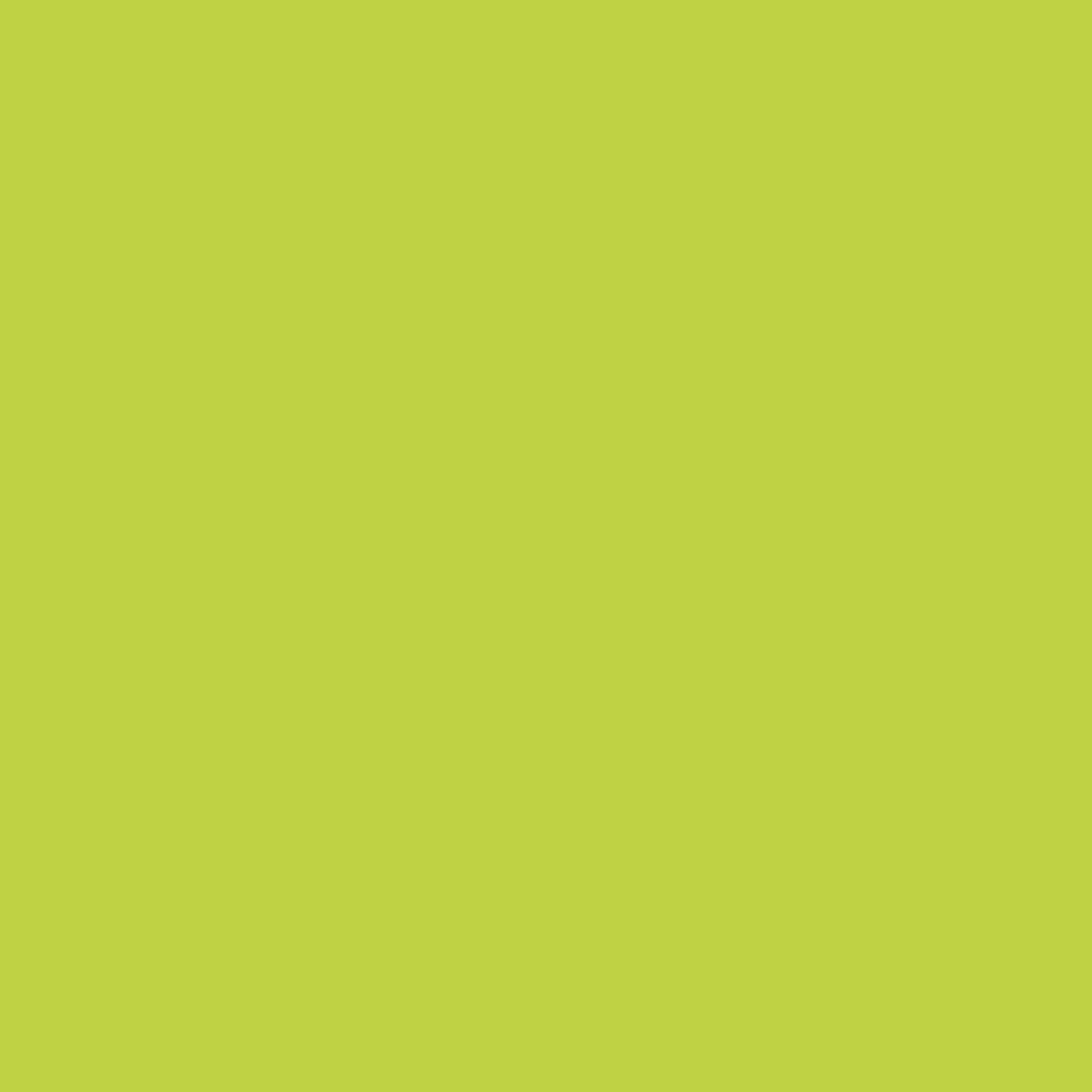 lyra-aqua-brush-duo-marcador-doble-punta-individual-Light-green