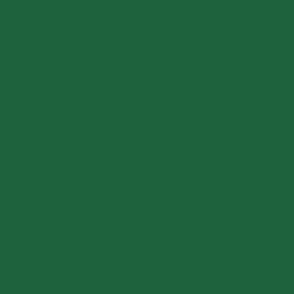 lyra-aqua-brush-duo-marcador-doble-punta-individual-Mineral-Green