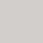 Neutral Grey Light
