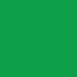 lyra-aqua-brush-duo-marcador-doble-punta-individual-Permanent-Green