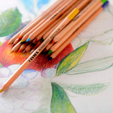 lyra-rembrandt-polycolor-set-36-lapices-de-colores-3